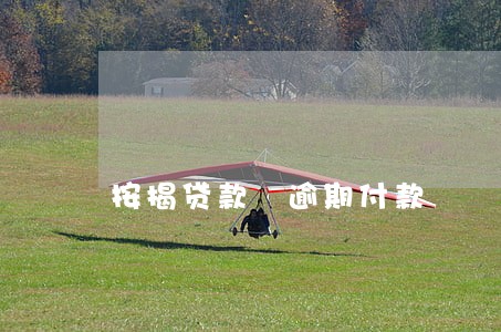按揭贷款 逾期付款 按揭贷款 逾期付款